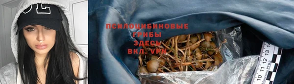 твердый Алзамай