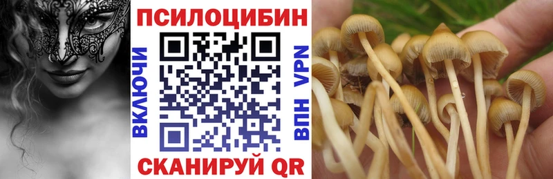 Галлюциногенные грибы мухоморы Красновишерск